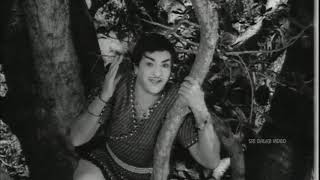 Telugu Open Sesame 1970