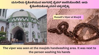 Man escaped the Russell’s Viper Attack inside Masjid  #viper #snakebite #viralvideo #trending #big4