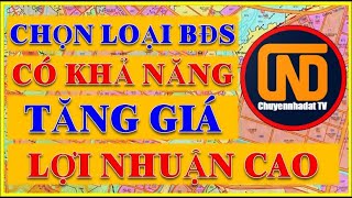 Chọn Loại Bất Động Sản Nào Có Nhiều Khả Năng Tăng Giá Và Lợi Nhuận Cao | Bất động sản năm 2022