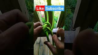 ides on how to tie knot #knot #subscribe #how #tuturials #loop #rope #ideas #tiktok #diy #crafts