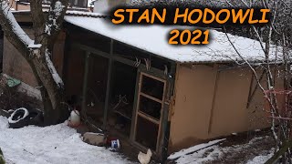 Stan Hodowli 2021 🤔 Straty 😔 Budka dla Przepiórów 😱