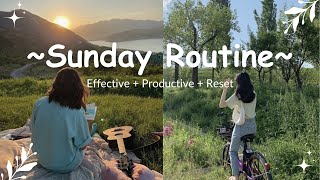 Sunday Reset Routine You Should Try!!! Effective and Productive Sunday Routines