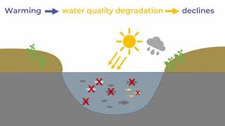 How are northern fish responding to cumulative environmental changes? A 4-minute PhD Thesis