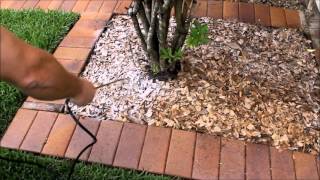 Landscape Lock spraying chip mulch