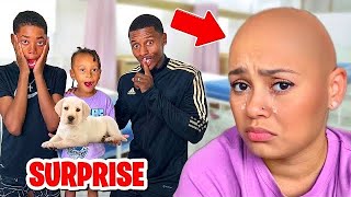 ALLY Went BALD So We Surprised Her With A NEW PET!**EMOTIONAL**