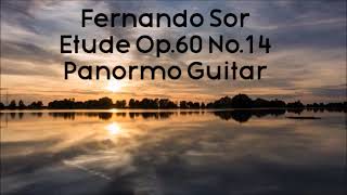 Fernando Sor Op. 60 No.14 in E minor played on a Panormo Guitar