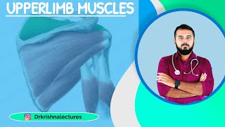 FOREARM MUSCLES [ Anterior compartment ]  PART-1