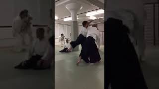 Aikido - new years training 2017