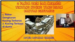 2 Fakta Unik Dan Menarik Tentang Kucing Yang Belum Banyak Diketahui