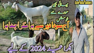 Aj soda huwa Naseeb ka | bakra Eid 2024 | Latset update today | 19/05/2024