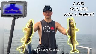 LIVE SCOPE WALLEYE'S ON LESSER SLAVE LAKE