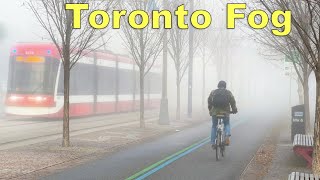 Downtown Toronto THICK FOG Lakefront Walk | Ontario Canada November Foggy Weather