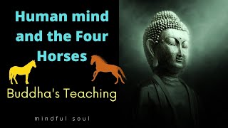 Buddha said "There are four kinds of horses." Which one are you like?