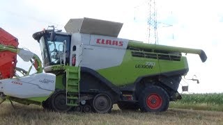 ★Wielkie Żniwa Pszenżyto 2018★Harvest in Poland★Belowanie Słomy★