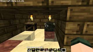 Co-op Let's Play Minecraft part 2 - That Cow Looks...Yummy