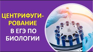 32. Центрифугирование в ЕГЭ по биологии