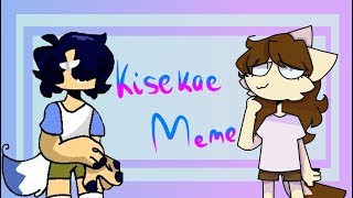 {Kisekase-meme}- (collab with TheYellow Thing)