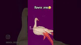 🤣🤣🤣 | funny videos | funny | trending | viral