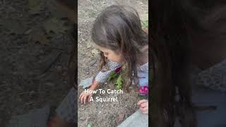 How To Catch A Squirrel- Collect Acorns And Set A Trap