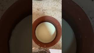 ASMR | Set curd at home #shorts #short #viral #youtubeshorts #food