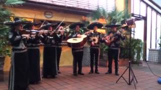 Mariachi Sol Azteca being filmed for a movie!