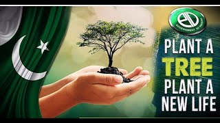 Green Pakistan Plantation Drive2024 #greenpakistan #plantation #plantationdrive #plantationdrive