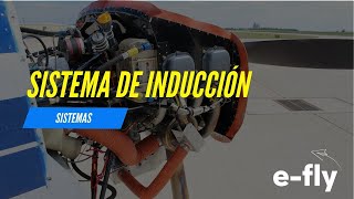 Sistema de Inducción del Cessna 172SP