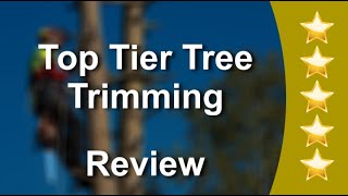 Top Tier Tree Trimming Reviews - Five Stars for Tree Removal in Jacksonville, Florida