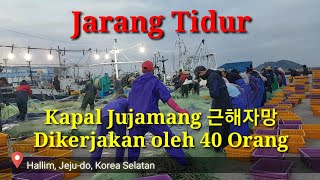 Fishing Korea | Kerja di Kapal Jaring Jujamang  | Abk jujamang Jeju