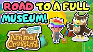 ROAD TO FULL MUSEUM 2! Animal Crossing Switch Gameplay and Walkthrough 2020! New Horizons Let's Play