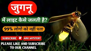 जुगनू में लाइट कैसे जलती है? How does the light turn on in a firefly? #youtubeshorts #shorts #fact