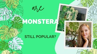 Are Monstera still Popular?|| A Brief Monstera History Lesson