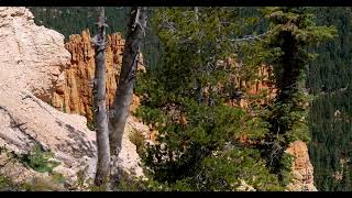 Stunning Bryce Canyon in 4K: Experience Nature's Beauty in Ultra HD