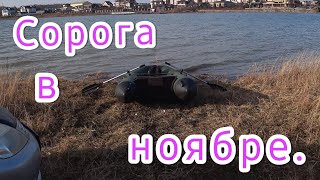 Сорога в ноябре