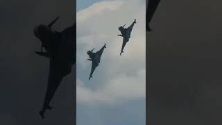 Typhoon vs Raptor: The Aerial Duel of Maneuverability and Stealth 🛩️🌌