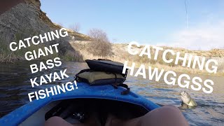 2v2 Kayak Fishing Tournament! Catching absolute GIANTS!