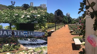 Paseo por Palermo// jardín japonés y el rosedal | 🇦🇷