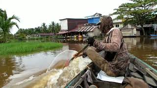 Perjalanan menyusuri sungai kapuas menggunakan kato menuju ketambak sungai pulau