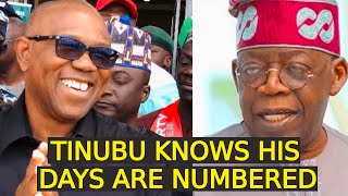 Peter Obi Might Be The Next President As Atiku Subpoenas Chicago Uni To Provide Records