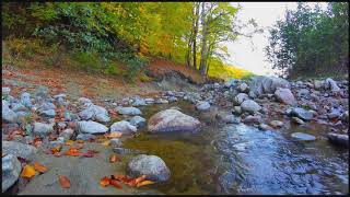 4K Relaxing River - Water Stream & Birdsong Sounds - Sleep/Study/Meditate