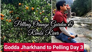 Pelling west sikkim rimbi orange garden, Pelling rimbi river , Godda To Pelling Day 3, pelling tour