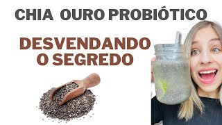 🥣🌿 Chia Transformada em Iogurte Probiótico? Sim, É Possível! 🤯🌟 Aprenda Agora!