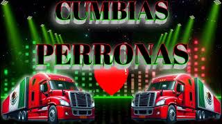 Puras Cumbias Perronas ✴️✴️