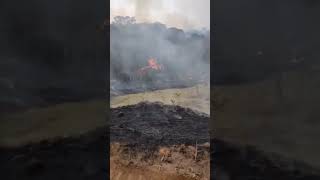 A destruição pelo incêndio continua....