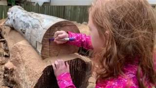 Cuts with a Lucas Mill --  Log over log sawing