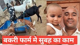 Goat Farming |Morning Time Management |Vimalumrao