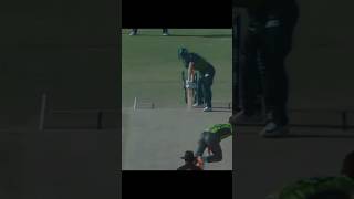 first over Wicket taker Shaheen [ #shorts #cricket #pakistan #youtubeshorts ]