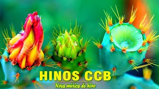 Hinos CCB 2020 - Canções De Hino Trazem A Alma Do último Senhor - Música De Oração Religiosa