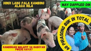 TOUR SA BACKYARD NI ATE MICHELLE/HINDI LANG KAMBING ANG ALAGA NILA MAY BABOY DIN SILA