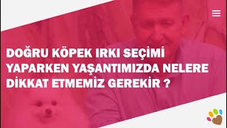 Doğru köpek ırkı seçimi yaparken yaşantımızda nelere dikkat etmemiz gerekir ?